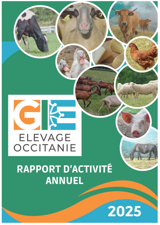 Rapport activité 2025 - illustration